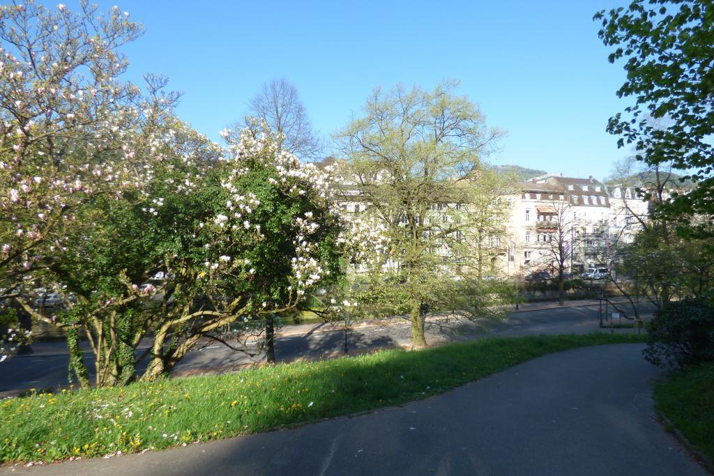 Colibri Apartment Baden-Baden Extérieur photo